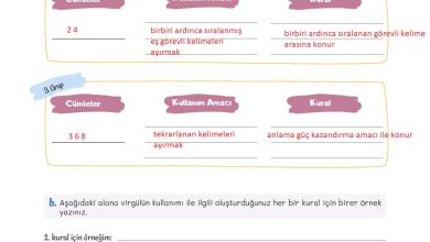 5. Sınıf Meb Yayınları Türkçe 1. Kitap Ders Kitabı Sayfa 45 Cevapları