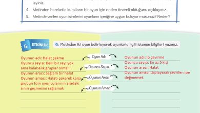 5. Sınıf Meb Yayınları Türkçe 1. Kitap Ders Kitabı Sayfa 42 Cevapları