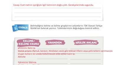 5. Sınıf Meb Yayınları Türkçe 1. Kitap Ders Kitabı Sayfa 41 Cevapları