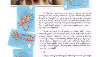 5. Sınıf Meb Yayınları Türkçe 1. Kitap Ders Kitabı Sayfa 40 Cevapları