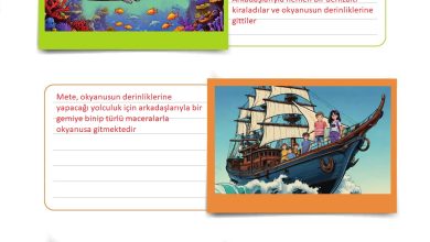 5. Sınıf Meb Yayınları Türkçe 1. Kitap Ders Kitabı Sayfa 33 Cevapları