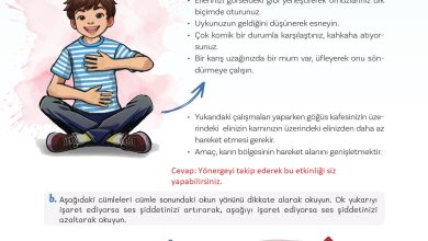 5. Sınıf Meb Yayınları Türkçe 1. Kitap Ders Kitabı Sayfa 29 Cevapları