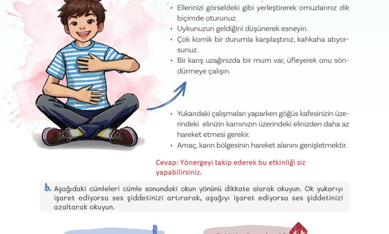 5. Sınıf Meb Yayınları Türkçe 1. Kitap Ders Kitabı Sayfa 29 Cevapları