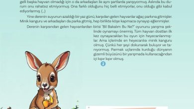 5. Sınıf Meb Yayınları Türkçe 1. Kitap Ders Kitabı Sayfa 24 Cevapları