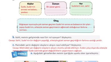 5. Sınıf Meb Yayınları Türkçe 1. Kitap Ders Kitabı Sayfa 15 Cevapları