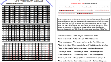 V Sesi Hece, Kelime, Cümle ve Metin Okuma Etkinlikleri