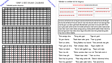 Ş Sesi Hece, Kelime, Cümle ve Metin Okuma Etkinlikleri