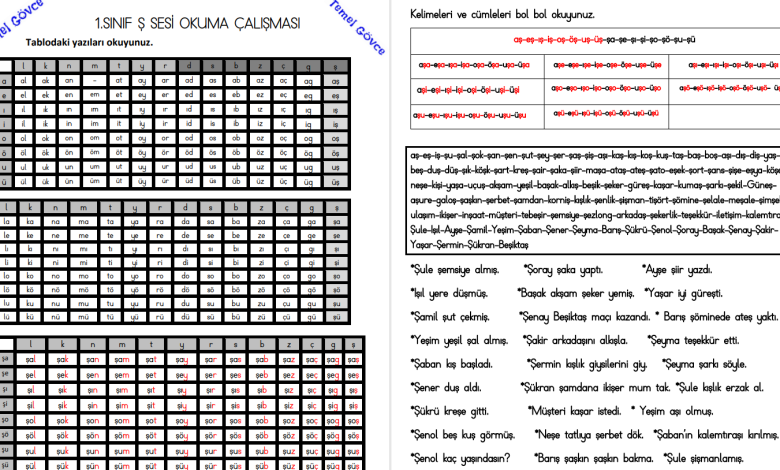 Ş Sesi Hece, Kelime, Cümle ve Metin Okuma Etkinlikleri