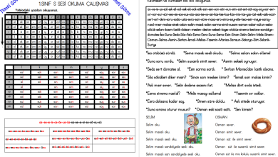 S Sesi Hece, Kelime, Cümle ve Metin Okuma Etkinlikleri