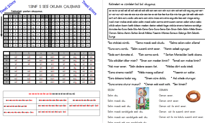 S Sesi Hece, Kelime, Cümle ve Metin Okuma Etkinlikleri