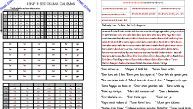 R Sesi Hece, Kelime, Cümle ve Metin Okuma Etkinlikleri