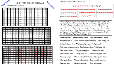 P Sesi Hece, Kelime, Cümle ve Metin Okuma Etkinlikleri