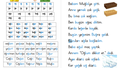 Ğ Sesi Hece, Kelime, Cümle ve Metin Okuma Etkinlikleri