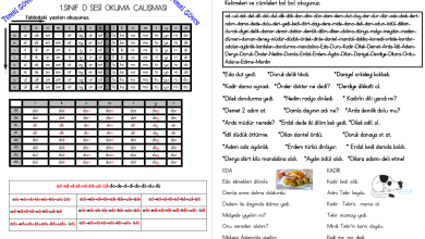 D Sesi Hece, Kelime, Cümle ve Metin Okuma Etkinlikleri