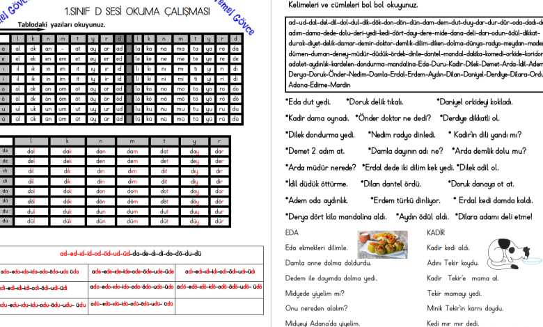 D Sesi Hece, Kelime, Cümle ve Metin Okuma Etkinlikleri