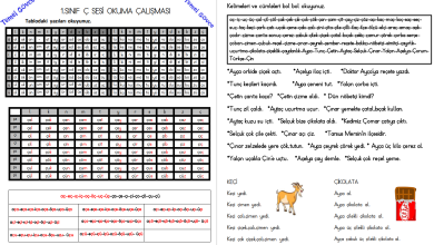 Ç Sesi Hece, Kelime, Cümle ve Metin Okuma Etkinlikleri