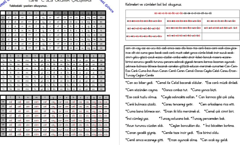 C Sesi Hece, Kelime, Cümle ve Metin Okuma Etkinlikleri