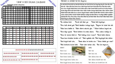 B Sesi Hece, Kelime, Cümle ve Metin Okuma Etkinlikleri