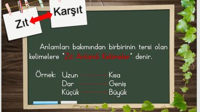 1. Sınıf Zıt Anlamlı Kelimeler Sunusu