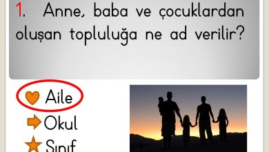 1. Sınıf Hayat Bilgisi Evimizde Hayat Ünitesi Etkinlikleri