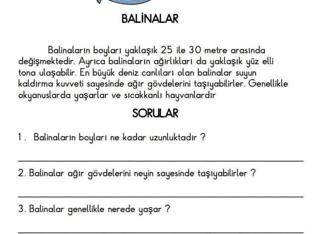 1. Sınıf Deniz Canlıları Okuma Anlama Metinleri (4 Adet)