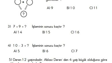 1. Sınıf 1. Dönem Değerlendirme Testi – 1