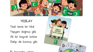 2. Sınıf Sdr Dikey Yayıncılık Hayat Bilgisi Ders Kitabı Sayfa 153 Cevapları