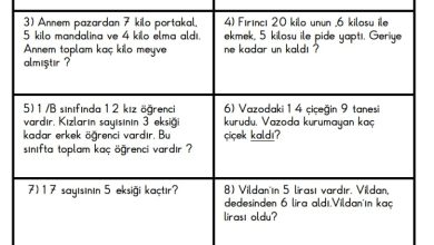 1. Sınıf Toplama ve Çıkarma Problemleri 2