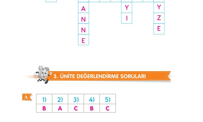 2. Sınıf Sdr Dikey Yayıncılık Hayat Bilgisi Ders Kitabı Sayfa 248 Cevapları