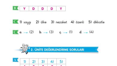 2. Sınıf Sdr Dikey Yayıncılık Hayat Bilgisi Ders Kitabı Sayfa 247 Cevapları