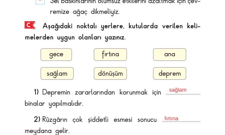 2. Sınıf Sdr Dikey Yayıncılık Hayat Bilgisi Ders Kitabı Sayfa 241 Cevapları