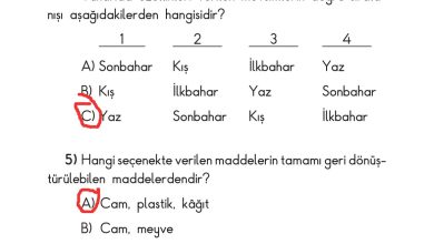 2. Sınıf Sdr Dikey Yayıncılık Hayat Bilgisi Ders Kitabı Sayfa 240 Cevapları