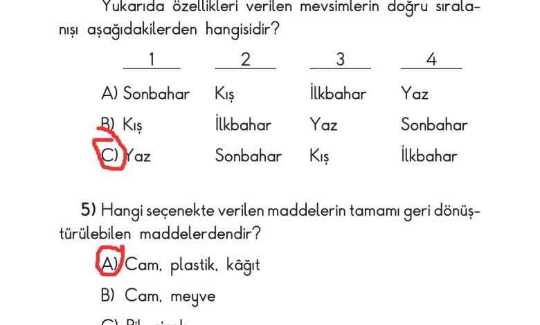 2. Sınıf Sdr Dikey Yayıncılık Hayat Bilgisi Ders Kitabı Sayfa 240 Cevapları