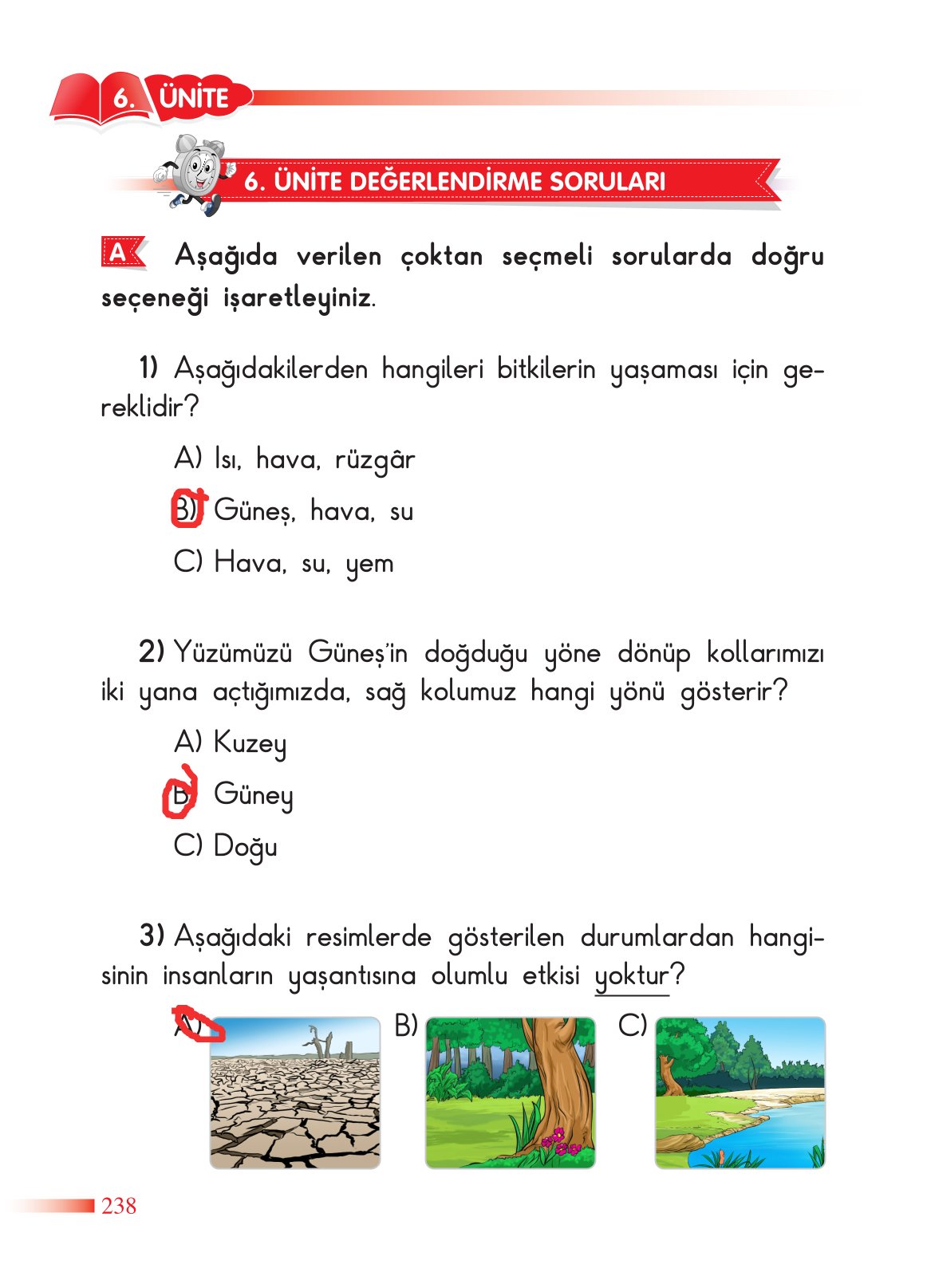 2. Sınıf Sdr Dikey Yayıncılık Hayat Bilgisi Ders Kitabı Sayfa 239 Cevapları