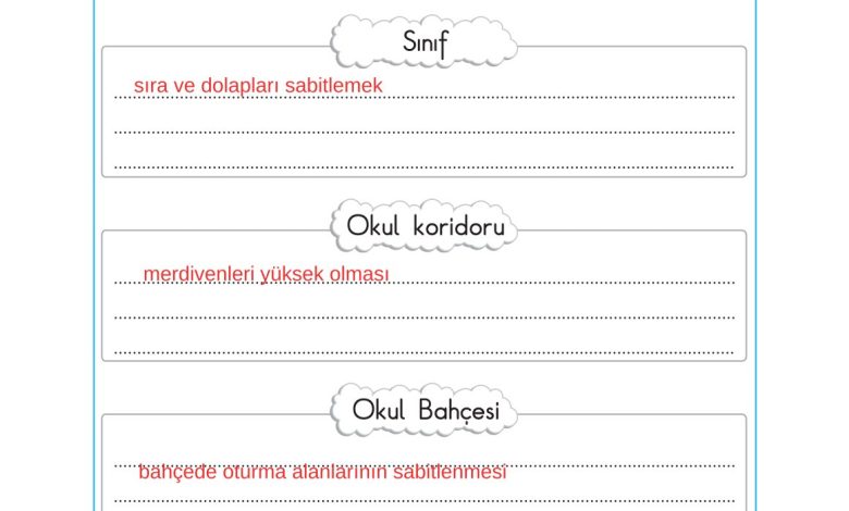 2. Sınıf Sdr Dikey Yayıncılık Hayat Bilgisi Ders Kitabı Sayfa 231 Cevapları