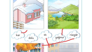 2. Sınıf Sdr Dikey Yayıncılık Hayat Bilgisi Ders Kitabı Sayfa 220 Cevapları