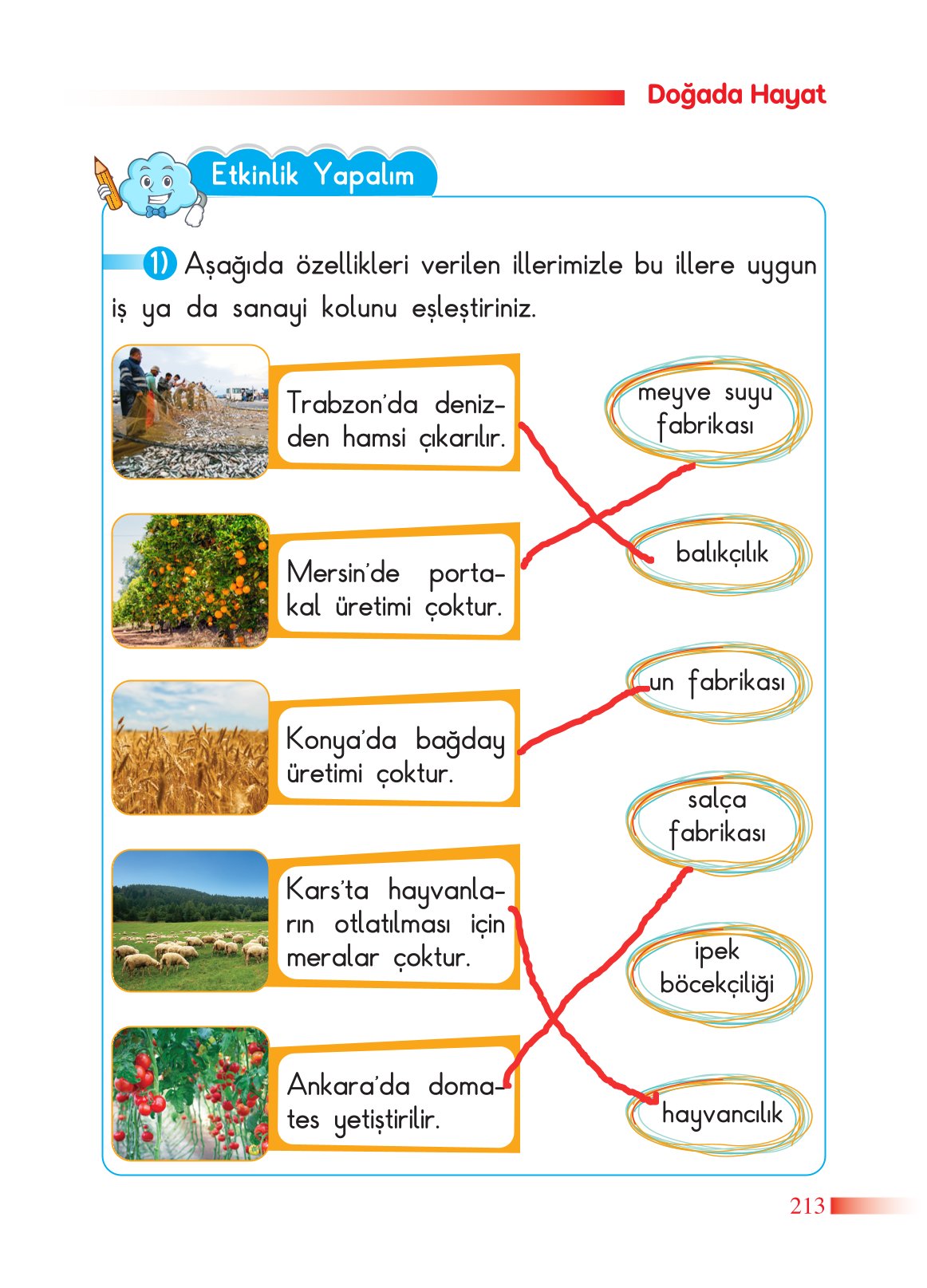 2. Sınıf Sdr Dikey Yayıncılık Hayat Bilgisi Ders Kitabı Sayfa 214 Cevapları