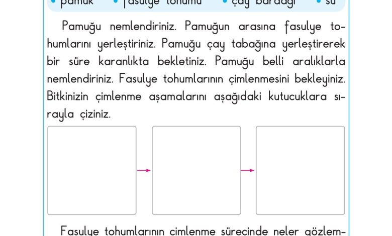 2. Sınıf Sdr Dikey Yayıncılık Hayat Bilgisi Ders Kitabı Sayfa 210 Cevapları