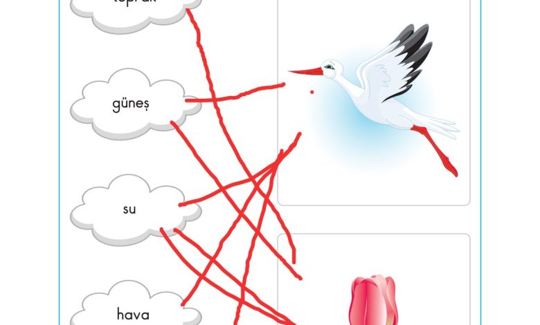 2. Sınıf Sdr Dikey Yayıncılık Hayat Bilgisi Ders Kitabı Sayfa 207 Cevapları