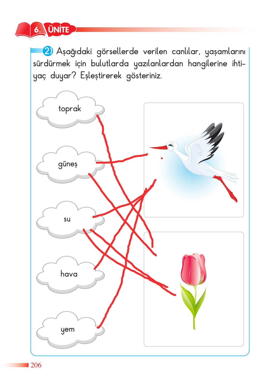 2. Sınıf Sdr Dikey Yayıncılık Hayat Bilgisi Ders Kitabı Sayfa 207 Cevapları