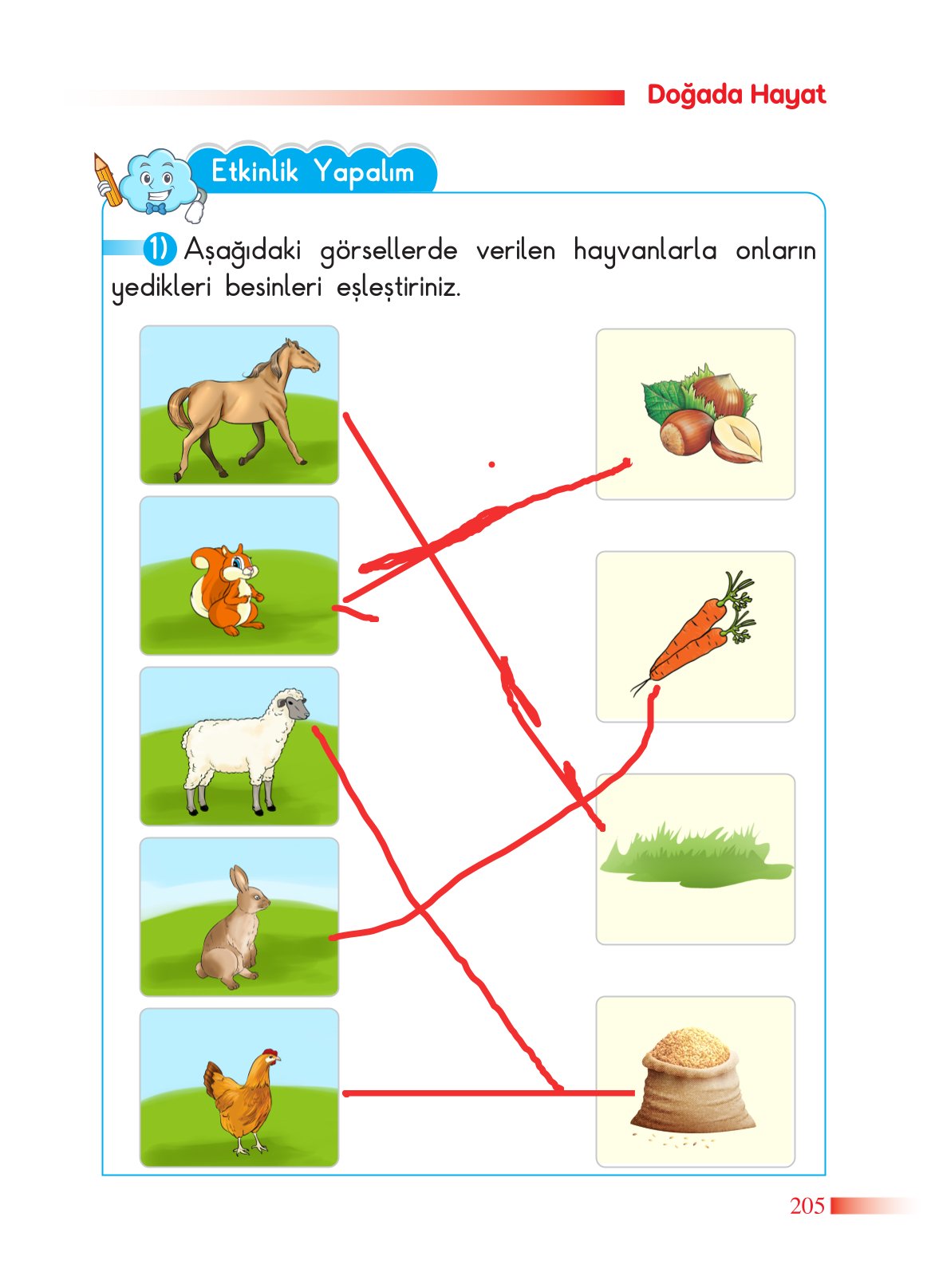 2. Sınıf Sdr Dikey Yayıncılık Hayat Bilgisi Ders Kitabı Sayfa 206 Cevapları