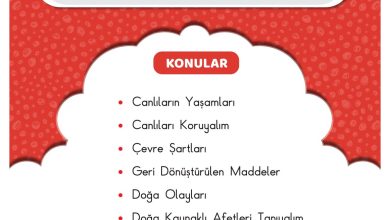 2. Sınıf Sdr Dikey Yayıncılık Hayat Bilgisi Ders Kitabı Sayfa 201 Cevapları