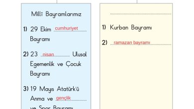 2. Sınıf Sdr Dikey Yayıncılık Hayat Bilgisi Ders Kitabı Sayfa 195 Cevapları