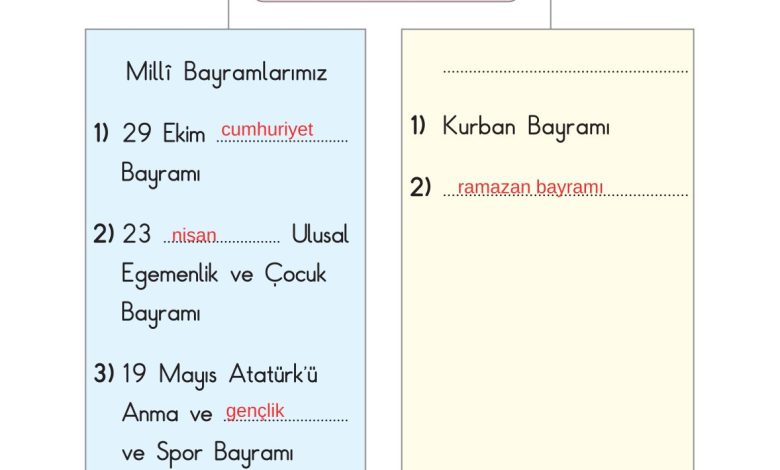 2. Sınıf Sdr Dikey Yayıncılık Hayat Bilgisi Ders Kitabı Sayfa 195 Cevapları