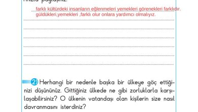 2. Sınıf Sdr Dikey Yayıncılık Hayat Bilgisi Ders Kitabı Sayfa 187 Cevapları