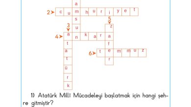 2. Sınıf Sdr Dikey Yayıncılık Hayat Bilgisi Ders Kitabı Sayfa 175 Cevapları