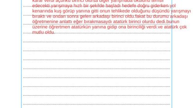 2. Sınıf Sdr Dikey Yayıncılık Hayat Bilgisi Ders Kitabı Sayfa 169 Cevapları