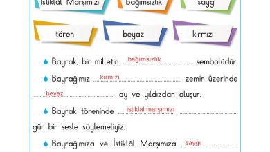 2. Sınıf Sdr Dikey Yayıncılık Hayat Bilgisi Ders Kitabı Sayfa 165 Cevapları