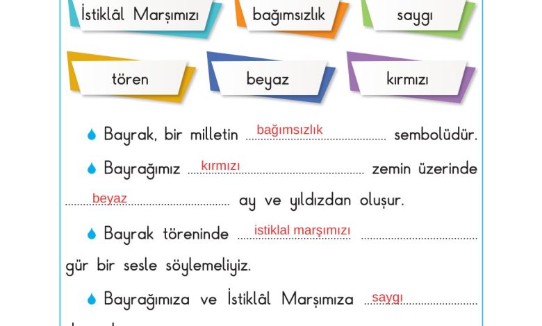 2. Sınıf Sdr Dikey Yayıncılık Hayat Bilgisi Ders Kitabı Sayfa 165 Cevapları