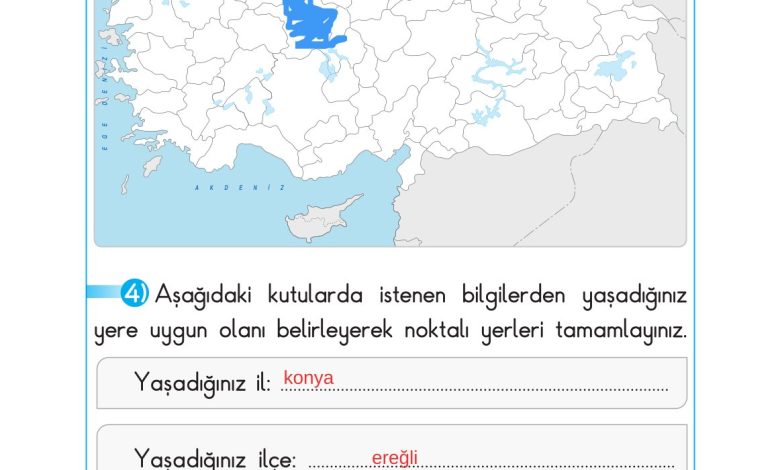 2. Sınıf Sdr Dikey Yayıncılık Hayat Bilgisi Ders Kitabı Sayfa 162 Cevapları